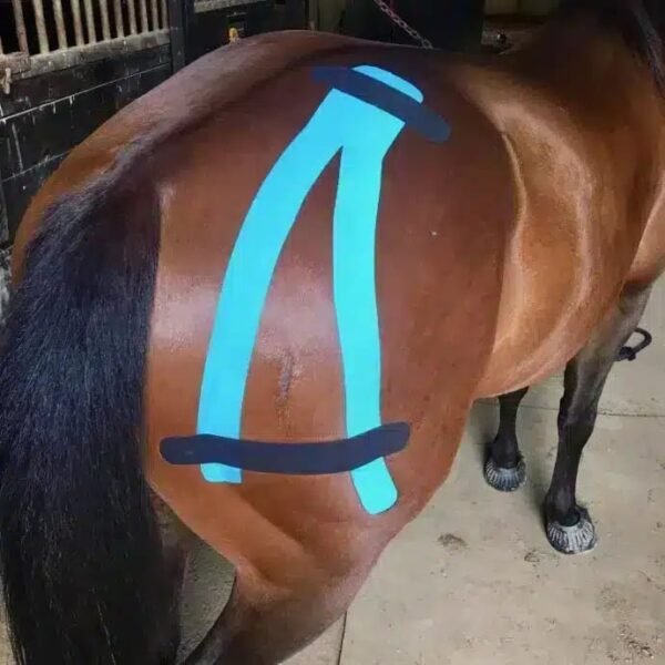 Taśma Kineselogon Ares Neon Equine - obrazek 3
